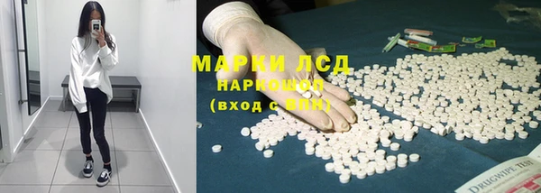 прущие грибы Абинск