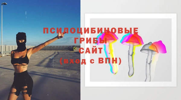 мет Алексин