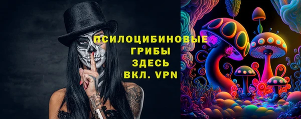 мяу мяу мука Абаза