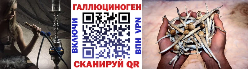 Галлюциногенные грибы мухоморы  Фатеж 