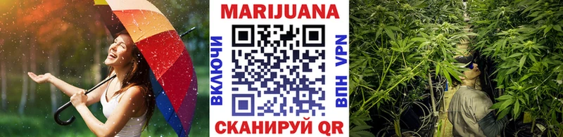 Конопля OG Kush  Фатеж 